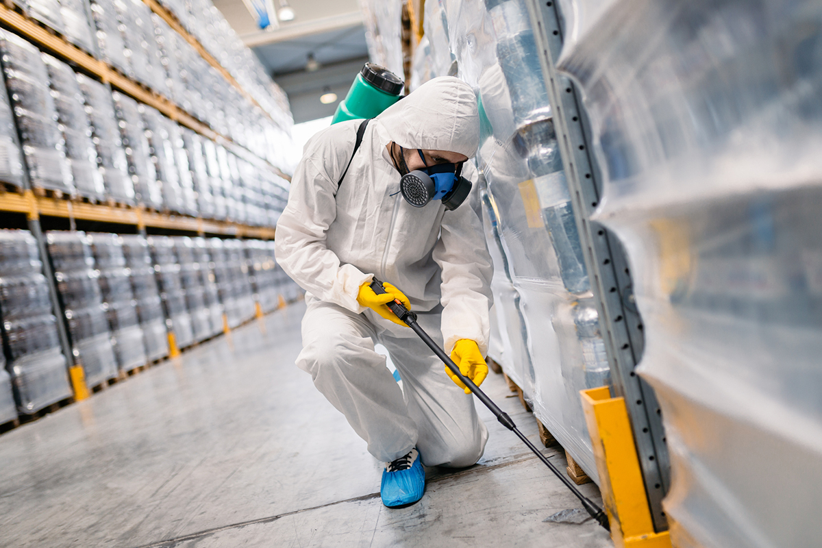 Alkham pest control, Folkestone pest control, Hawkinge Pest control, Alkham Pest Control, West Hougham, Capel-le-fern pest control, lyminge pest control, Etching pest control, Peene pest control, Newington pest control, Saltwood pest control, Hythe pest control, Sandgate pest control